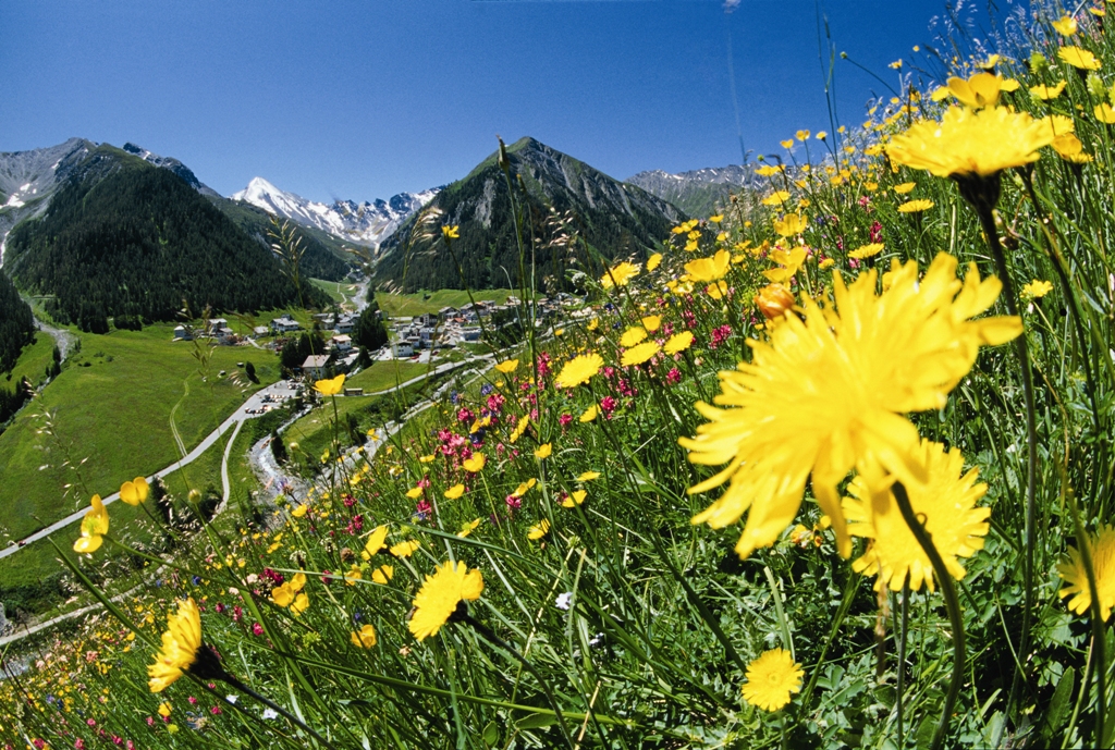 SAMNAUN – Schweizer Naturparadies