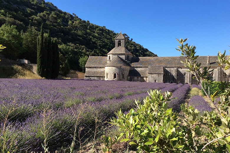 Hammertinger Reisen - Leuchtende Farben der PROVENCE